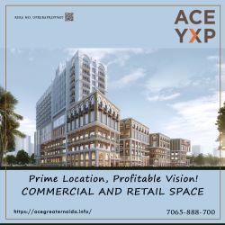 Prime Investment Alert – ACE YXP at Yamuna Expressway