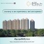 ACE Starlit Sector 152: Luxury 2 & 3 BHK Residences