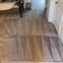  Expert Carpet Cleaning In San Antonio TX
