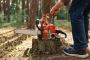 Professional Stump Grinding Oregon Services