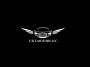 F & Z MOTORS LLC