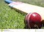 fantasy cricket app