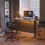 Fezibo Standing Desk Fezibo Standing Desk