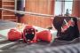 Your Ultimate Houston Fight Shop - Fight Shop HTX