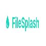 FileSplash