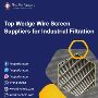 Top Wedge Wire Screen Suppliers for Industrial Filtration