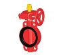Gear-Operated Grooved Butterfly Valves for Fire Sprinklers