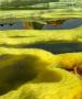 Danakil Depression Tour Packages