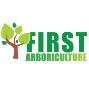 First Arb Tree Surgeons
