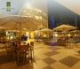 Destination Wedding Jim Corbett