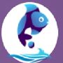 Web Development Company In Mumbai - Fish Eye Advertising