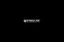 Fitness Fox – Engineered to Support, Styled to Stand Out