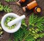 Searching for an Effective Natural Remedy for Vertigo