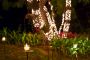 Find Nearby Wedding Banquet Venues