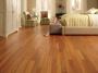 Experience Superior Floor Sanding in London Experience Superior Floor Sanding in London
