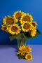 Brighten Every Moment with a Sunflower Bouquet in Singapore 