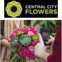Online Shop Flowers In Christchurch | Fresh Blooms Delivered