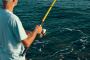 Naples Inshore Fishing Charters