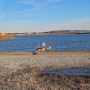 Fox Lake RV Resort