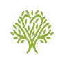 Foxland Lawn Care