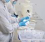 Clean room Assembly Services