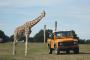 Book Exclusive Safari Tanzania | Affordable Packages- FraFri