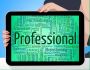 Top Benefits Of Working With A Professional Franchise Consul