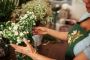 Orlando Wedding Florist