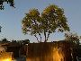 Looking For The Best Tree Removal in Virginia Village?