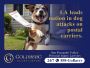 Los Angeles Dog Bite Lawyer