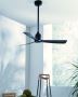 Find Your Perfect Fans at Lighting Reimagined!