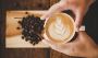 Where to Find the Best Green Coffee Beans Wholesale Deals?
