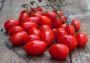 Buy Datterino Tomatoes in Dubai | Fresh Focus Food
