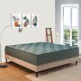 Buy High Quality Sofa Cum Bed Mattress at Affordable Prices 