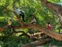 Discover the Quaker Values at Friends School Haverford