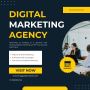 🚀 Digital Marketing That Delivers – FriggasTechsol in Noida