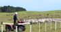 Upgrade Your Fencing with Plastic Fence Posts 