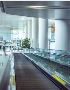 Durable and Efficient Moving Walkway Solutions