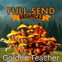 Golden Teacher Spore Syringe Microscopy - Fullsend Organicks