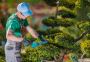 Affordable and Reliable Tree Trimming Experts