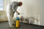 Professional Mold Removal for a Safer Home Professional Mold Removal for a Safer Home