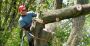 Reliable Commercial Tree Care Services for Your Property