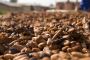 Raw Cacao Beans Market Trends, Overview, Competitive Raw Cacao Beans Market Trends, Overview, Competitive