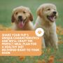 Personalized, Fresh-Cooked Meals for Dogs. With Delivery ! Personalized, Fresh-Cooked Meals for Dogs. With Delivery !