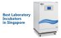 Best Laboratory Incubators For Sale 2024