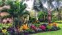 Tampa Commercial landscaping services