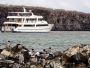 Discover Nature’s Wonders with a Galapagos Charter