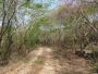 Land for Sale in Ursulo Galván