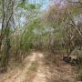 Land for Sale in Ursulo Galván