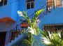 Houses For Sale in Chacala Houses For Sale in Chacala